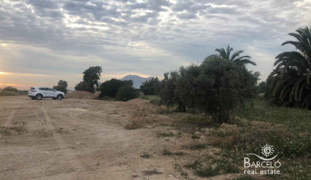 Земельный участок 11000м² в Катраль, Испания № 94314