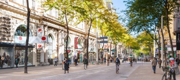 6 rooms Commercial property in Neubau, Austria No. 211648 10