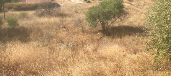 Земельный участок 13891м² в Эль Молар, Испания № 81891 11