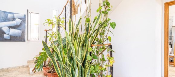 4 bedrooms Villa in Felanitx, Spain No. 189794 11