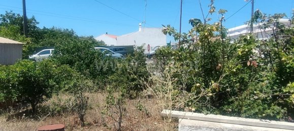 3 Schlafzimmer Haus in Sao Bras de Alportel, Portugal, Nr. 57983 14