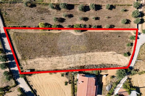  Land in Sao Martinho da Cortica, Portugal No. 179401