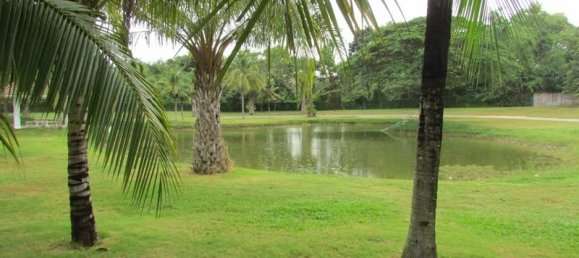 3 bedrooms Cafe / restaurant in Pattaya, Thailand No. 984 2