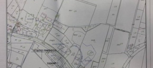 11-Zimmer Haus in Wildon, Austria, Nr. 238357 23