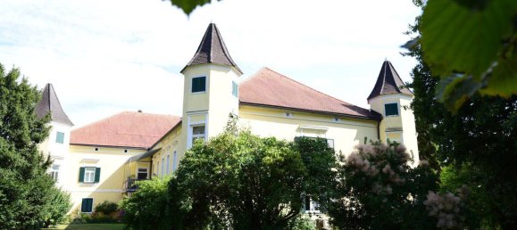 11-Zimmer Haus in Wildon, Austria, Nr. 238357 8