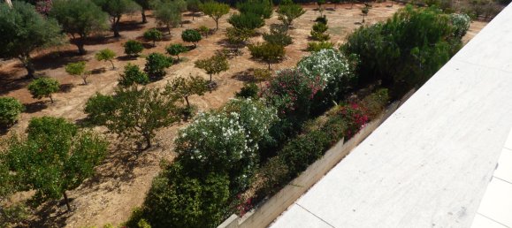 5 Schlafzimmer Villa in Alvor, Portugal, Nr. 186957 48