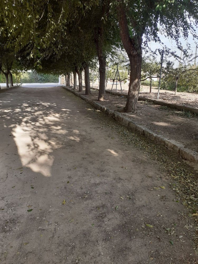 4 غرف نوم منزل في Cordoba, Spain رقم 195213