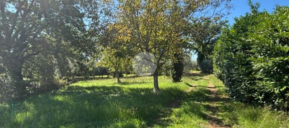 Terrain à Gallese, Italy No. 372140 8