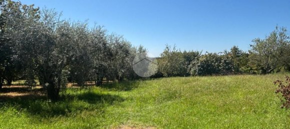 Terrain à Gallese, Italy No. 372140 14