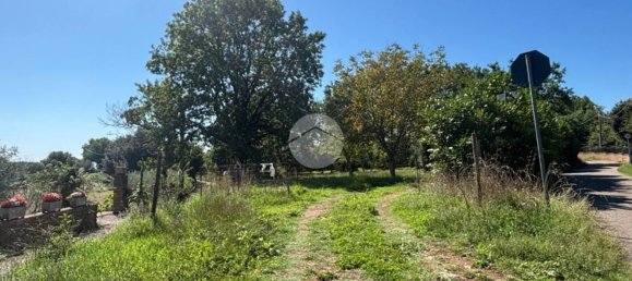 Terrain à Gallese, Italy No. 372140 3