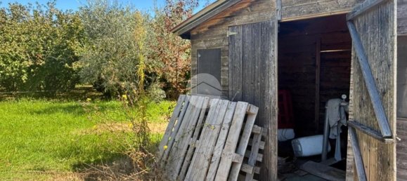 Terrain à Gallese, Italy No. 372140 13