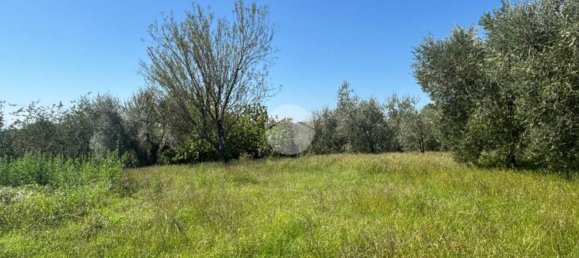 Terrain à Gallese, Italy No. 372140 10