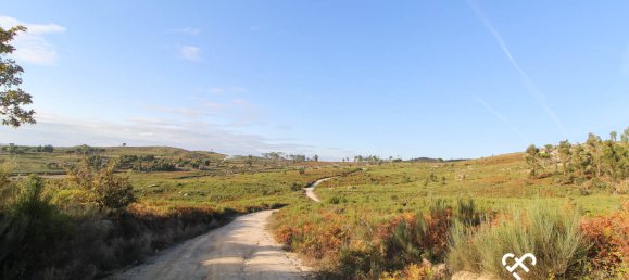 Grundstück in Mangualde, Portugal, Nr. 69182 11