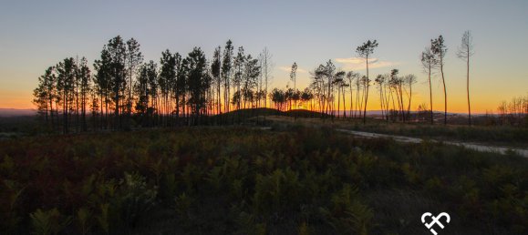 Grundstück in Mangualde, Portugal, Nr. 69182 15