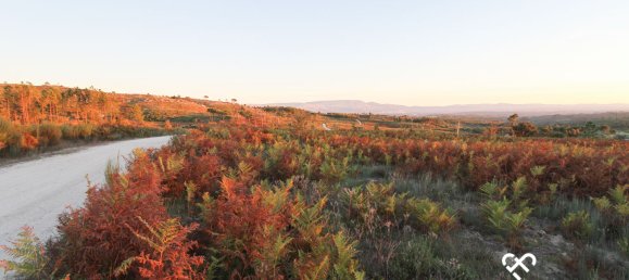 Grundstück in Mangualde, Portugal, Nr. 69182 14