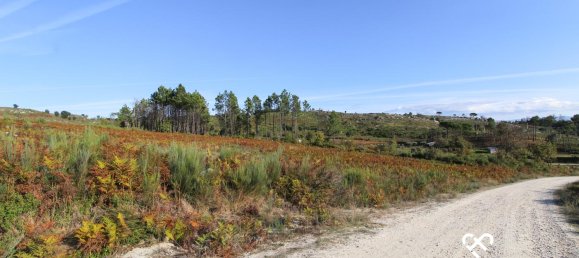 Grundstück in Mangualde, Portugal, Nr. 69182 8