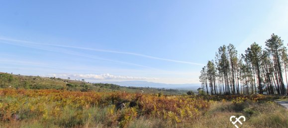 Grundstück in Mangualde, Portugal, Nr. 69182 3
