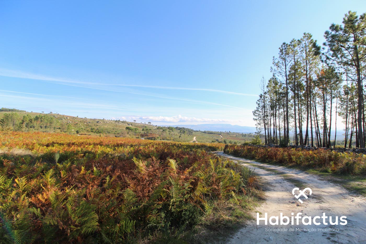 Grundstück in Mangualde, Portugal, Nr. 69182