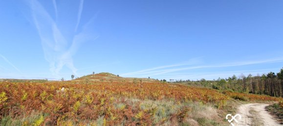 Grundstück in Mangualde, Portugal, Nr. 69182 6
