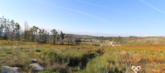 Grundstück in Mangualde, Portugal, Nr. 69182 7