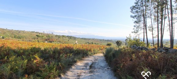 Grundstück in Mangualde, Portugal, Nr. 69182 2