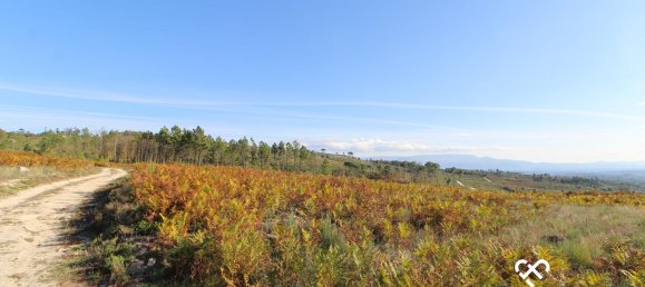 Grundstück in Mangualde, Portugal, Nr. 69182 5