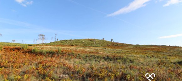 Grundstück in Mangualde, Portugal, Nr. 69182 12