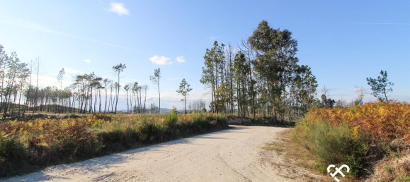 Grundstück in Mangualde, Portugal, Nr. 69182 10