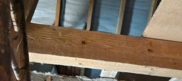 2 غرف نوم شقة في Ortenaukreis, Germany رقم 29956 17