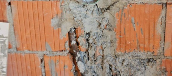 2 غرف نوم شقة في Ortenaukreis, Germany رقم 29956 12