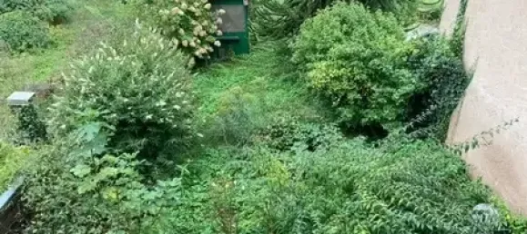 4-salle Maison de ville à Ortenaukreis, Germany No. 68653 3