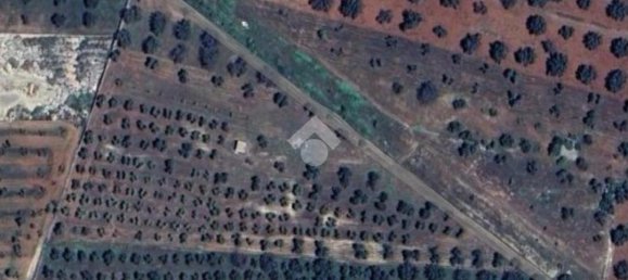 Grundstück in Manduria, Italy 28000m², Nr. 117159 5