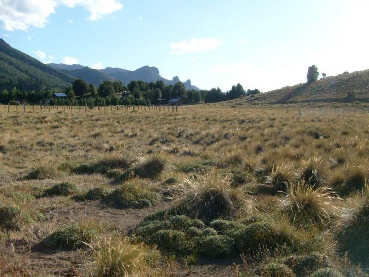  Land in Neuquen, Argentina No. 35195