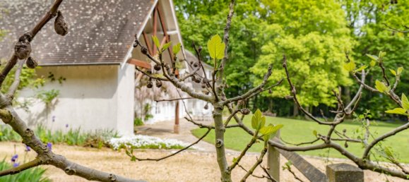 4 chambres Maison à Montfort-l'Amaury, France No. 297967 27