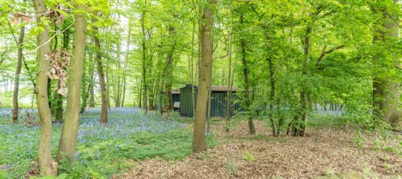 4 chambres Maison à Montfort-l'Amaury, France No. 297967 12