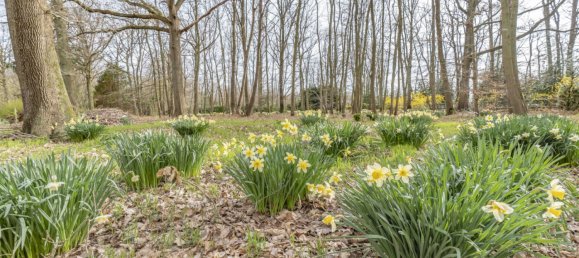 4 chambres Maison à Montfort-l'Amaury, France No. 297967 36