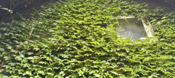 4 bedrooms House in Kladow, Germany No. 281521 2