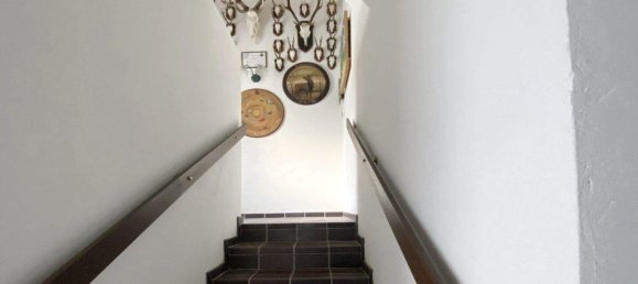 Casa de 5 habitaciónes en Ulrichskirchen-Schleinbach, Austria No. 239331 4