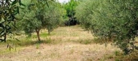 2123m² Land in Civitanova Marche, Italy No. 289147 12