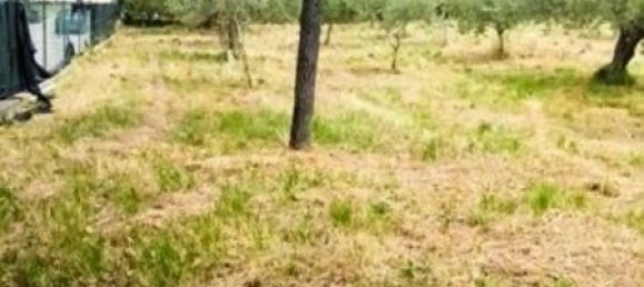 2123m² Land in Civitanova Marche, Italy No. 289147 30