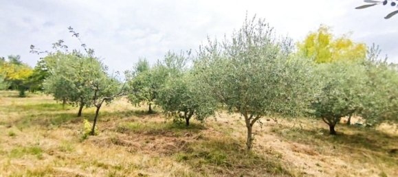 2123m² Land in Civitanova Marche, Italy No. 289147 25