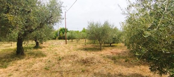 2123m² Land in Civitanova Marche, Italy No. 289147 17