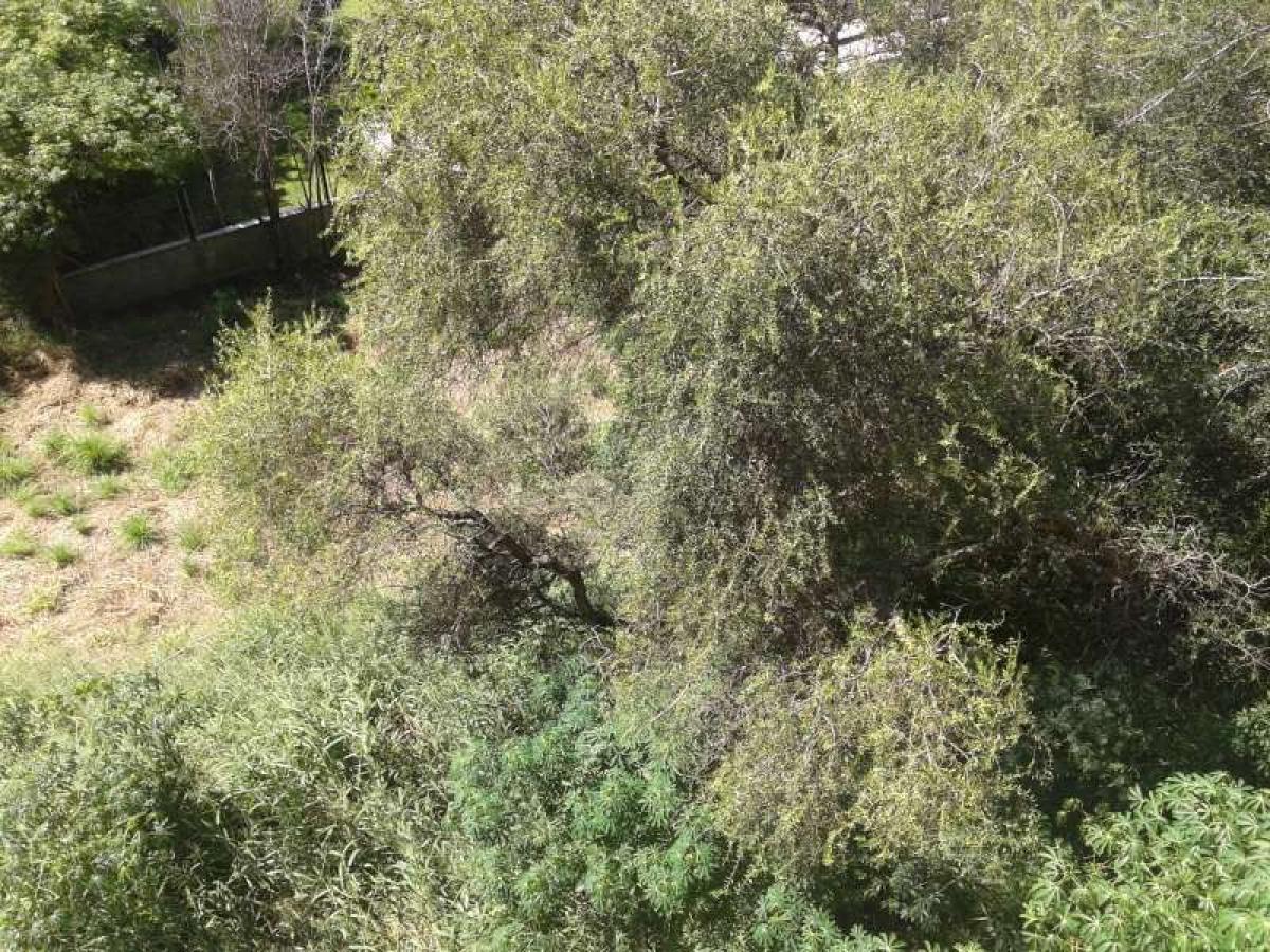  Land in Cordoba, Argentina No. 34362