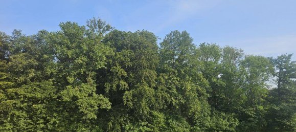 3 rooms House in Ohlsdorf, Austria No. 204343 14