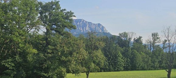 3 rooms House in Ohlsdorf, Austria No. 204343 13