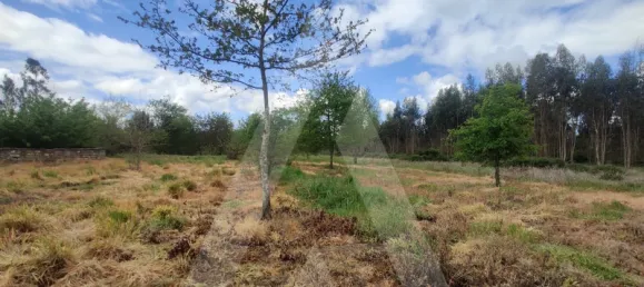 Grundstück in Aveiro, Portugal, Nr. 89411 5