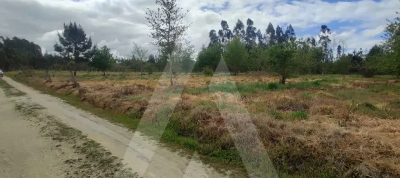 Grundstück in Aveiro, Portugal, Nr. 89411 8