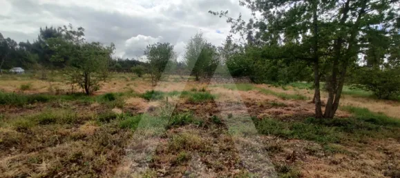 Grundstück in Aveiro, Portugal, Nr. 89411 7