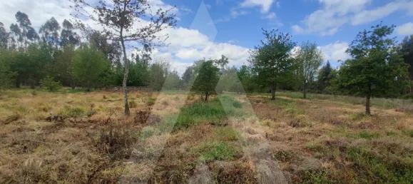 Grundstück in Aveiro, Portugal, Nr. 89411 6