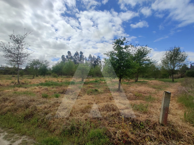 Grundstück in Aveiro, Portugal, Nr. 89411